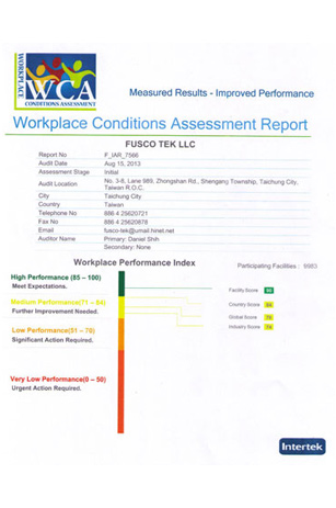 Annual Audit Report WCA